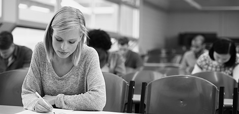 German business student studies