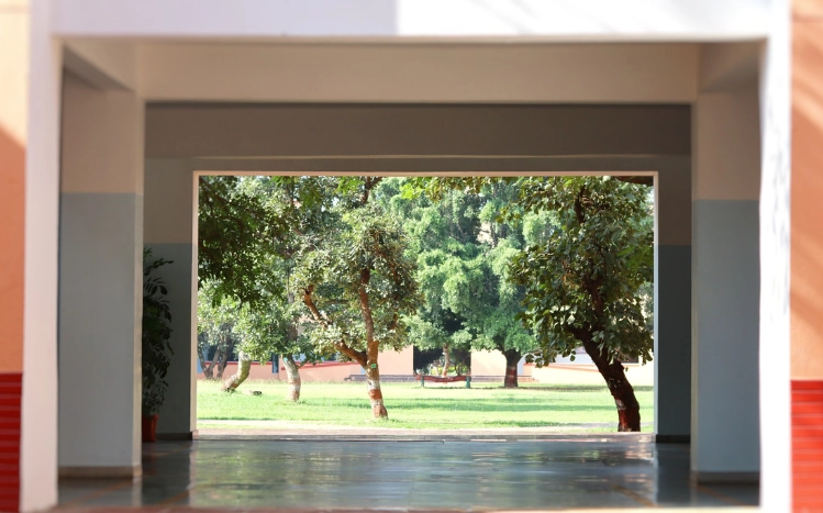 Spending time in nature is one example of mindfulness proven to help you study better IIM Indore  Facebook