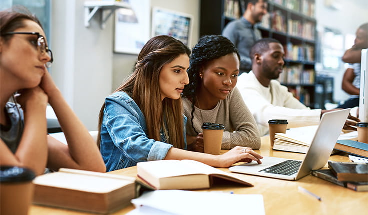 Women Intent on Laptop 
