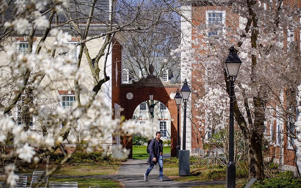 copy Harvard Business School via Facebook